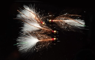 Four Lynx' Whiskers Four Lynx' Whiskers