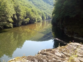 Cliffs and trees Cliffs and trees