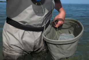 Canvas basket Canvas basket