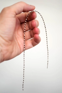 Saddle feather Saddle feather