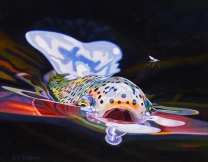 No Fly Zone No Fly Zone