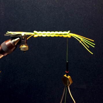 Last segment Last segment