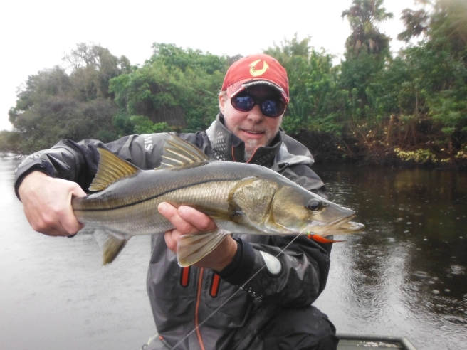 A good snook on a rainy day A good snook on a rainy day