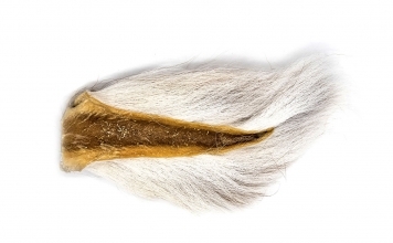 Bucktail Bucktail