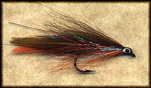 BROOK TROUT DECEIVER Image