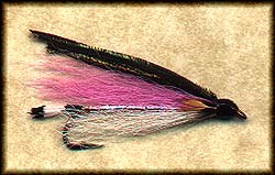 GOVERNOR AIKEN Image