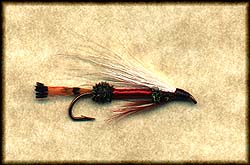 ROYAL COACHMAN HAIRWING STREAMER Image