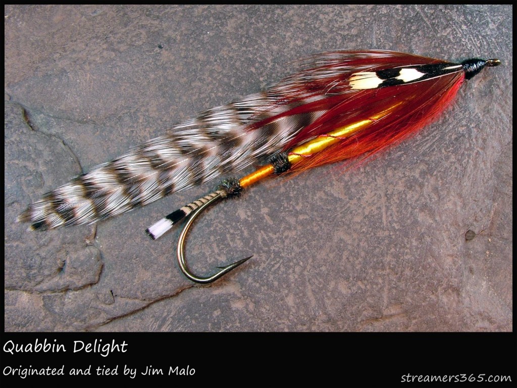 #331 Quabbin Delight - Jim Malo #331 Quabbin Delight - Jim Malo