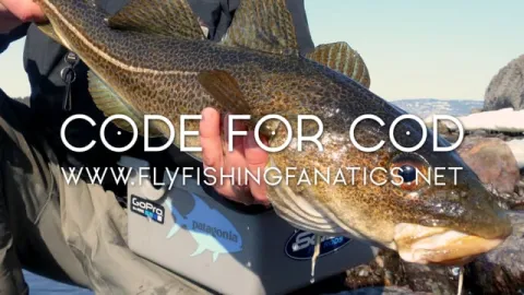 Video thumb for Code for Cod