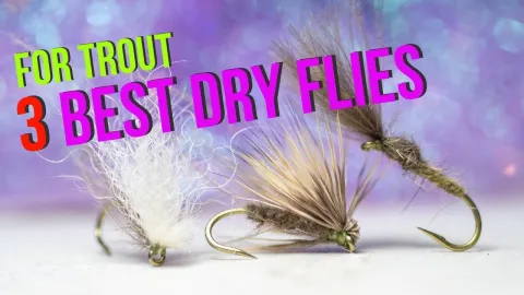 Video thumb for 3 Best Dry Flies For Trout