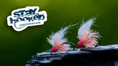 Video thumb for Great Lakes Egg Pattern