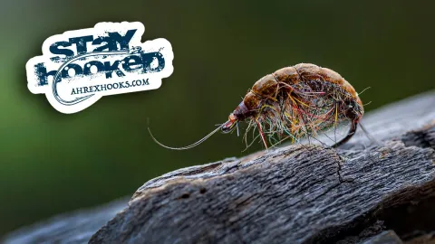 Video thumb for Brown Scud