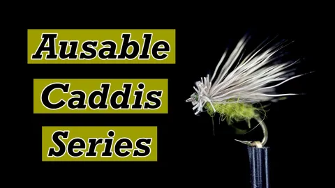 Video thumb for Deer Hair Sedge