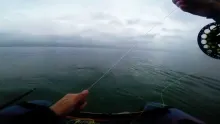 Video thumb for Cod from a float tube