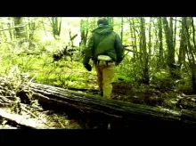 Video thumb for Fly fishing Patagonia
