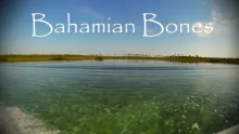 Video thumb for Bahamian Bonefish