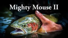 Video thumb for Alaska Mouse Fishing