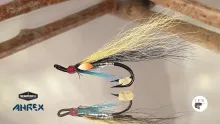 Video thumb for Silver Sheep