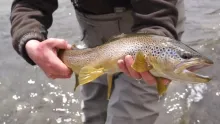 Video thumb for Aventura Patagonia Flyfishing