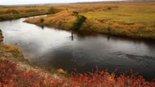 Video thumb for The Kamchatka Steelhead Project