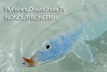 Video thumb for Nonouti Bones