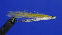 Video thumb for Emerald Shiner