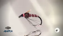 Video thumb for Friskó