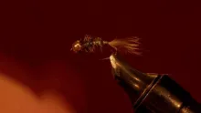 Video thumb for A Tungsten Nymph