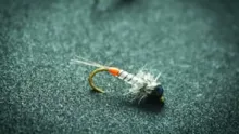 Video thumb for Hot Tail Nymph