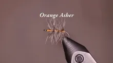 Video thumb for Orange Asher