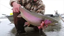 Video thumb for Cabin Fever