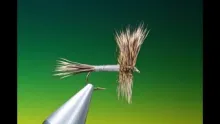 Video thumb for Hair Wing Dun