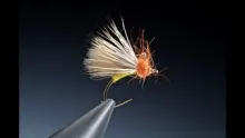 Video thumb for Atomic Caddis