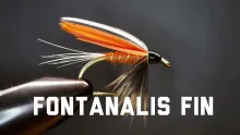 Video thumb for Fontanalis Fin