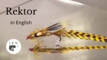 Video thumb for Rektor