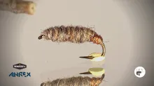 Video thumb for Killer Bug