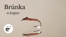 Video thumb for Brúnka