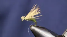 Video thumb for Elk Hair Caddis