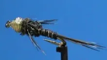 Video thumb for No Bead Beadhead Pheasant Tail