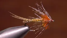 Video thumb for Shakey Bealy