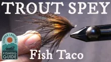 Video thumb for Fish Taco