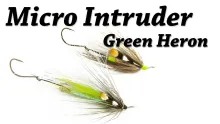 Video thumb for Green Heron Micro Intruder