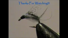 Video thumb for Grannom Caddis Pupa