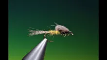 Video thumb for Mayfly Emerger