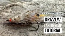 Video thumb for Grizzly/tan shrimp