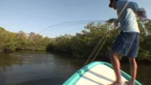 Video thumb for Crazy Tarpon