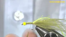 Video thumb for Micro Straggle Damsel