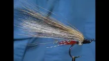 Video thumb for Bead Butt Black Nose Dace