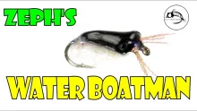 Video thumb for Zeph's Water Boatman