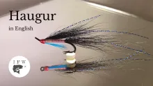 Video thumb for Haugur